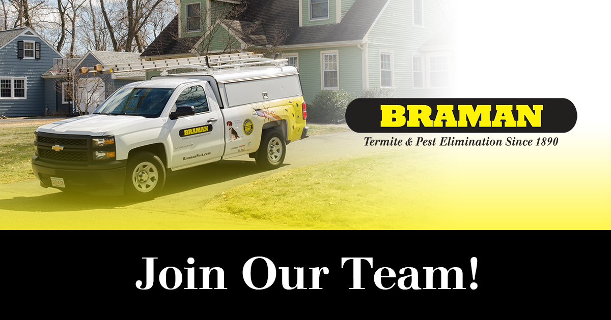 Careers Braman Pest Control