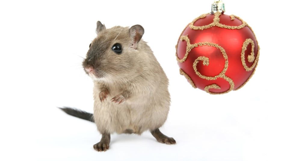Check Holiday Décor for Pests Before Decking the Halls