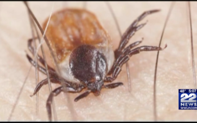 Tick Bite ER Visits Surge in Northeast