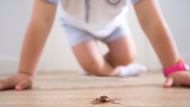 Child near bug on floor