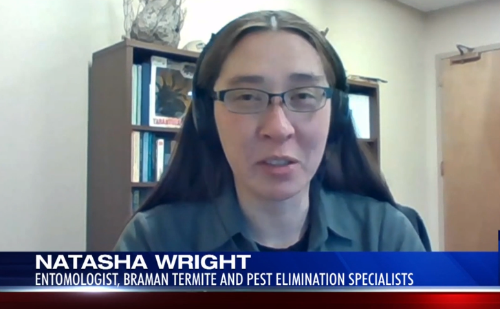 Natasha Wright on 22News discusses rats seeking food
