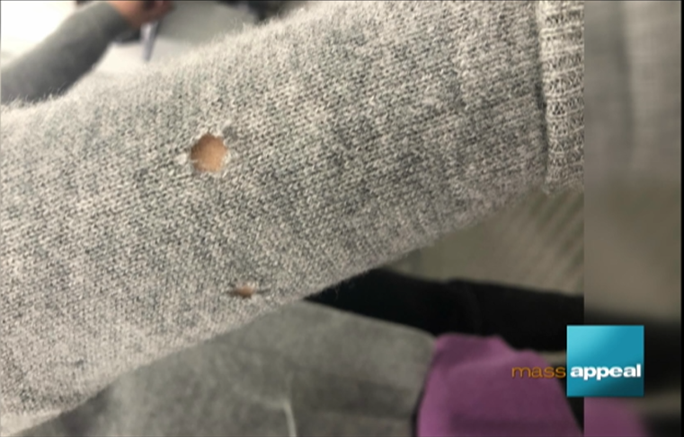 Sweater damage from clothes moths