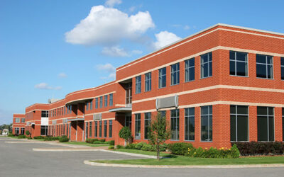 Braman Termite & Pest Elimination welcomes Allison Garriss as director of human resources