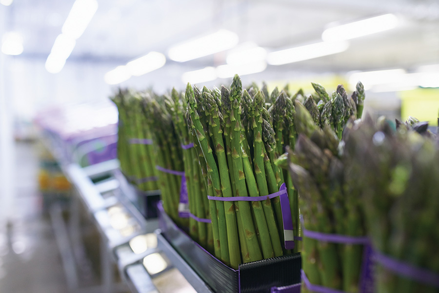 asparagus in grocery store