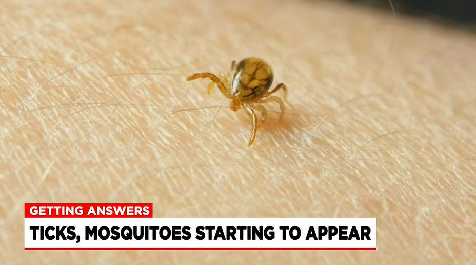 Getting Answers: Ticks, Mosquitoes Starting To Appear