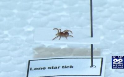 Lone Star Tick Bite Can Result in Red Meat Allergy