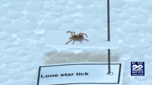 Lone Star Tick Bite Can Result in Red Meat Allergy