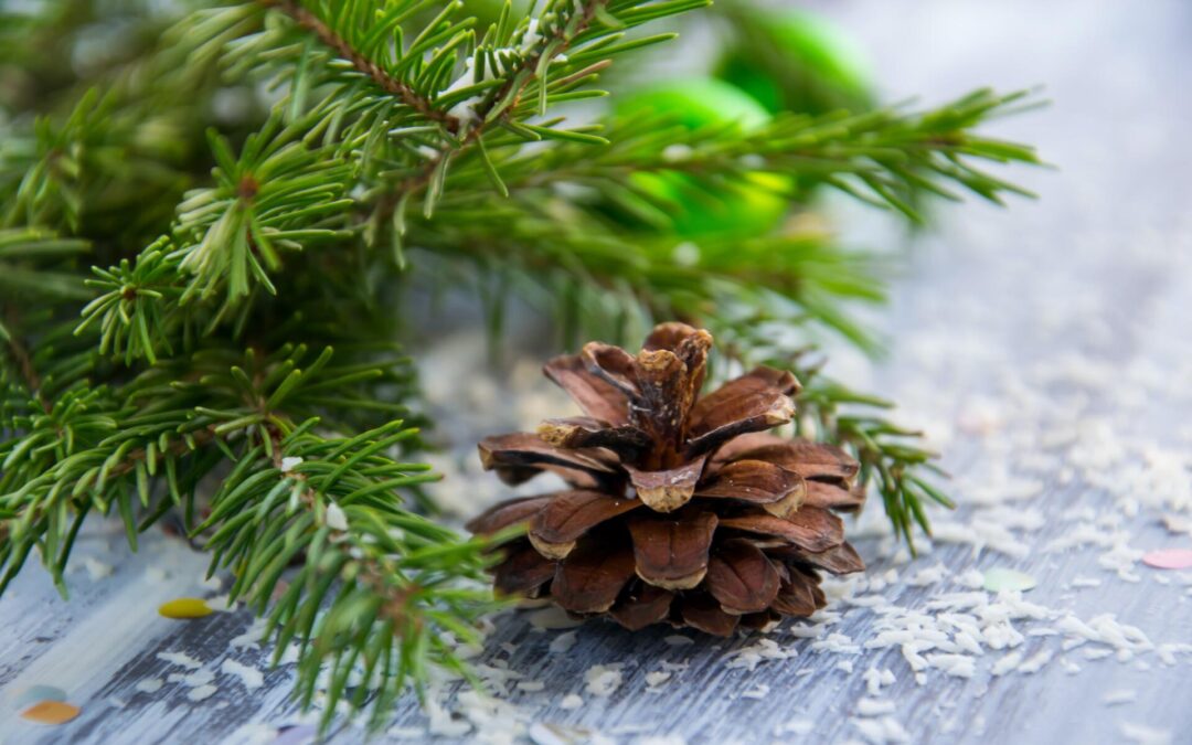 Prevent Hitchhiking Pests from Invading Your Holidays