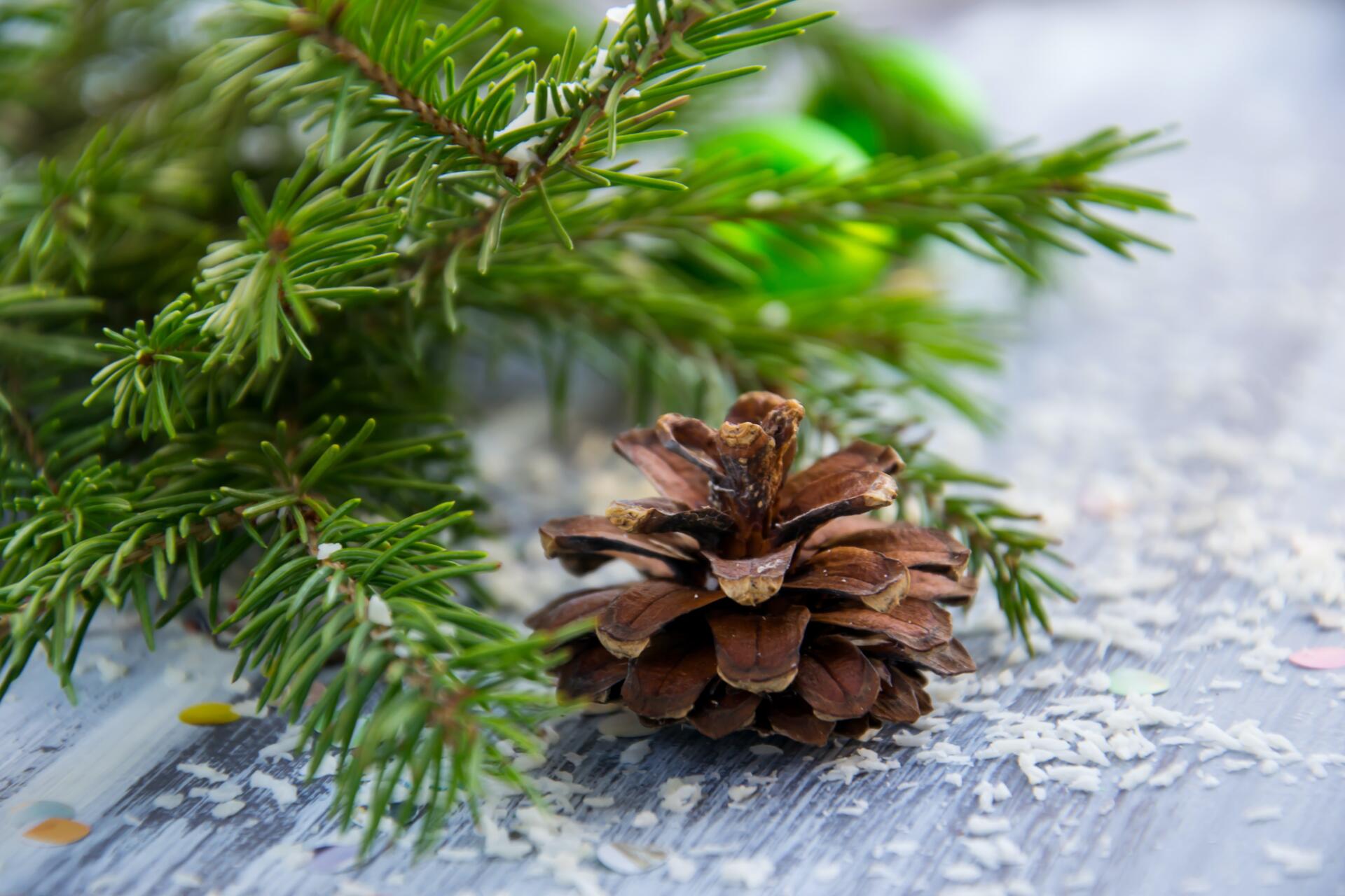 Holiday greenery with pinecone on porch