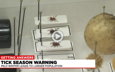Experts warn of tick season amid warmer temperatures