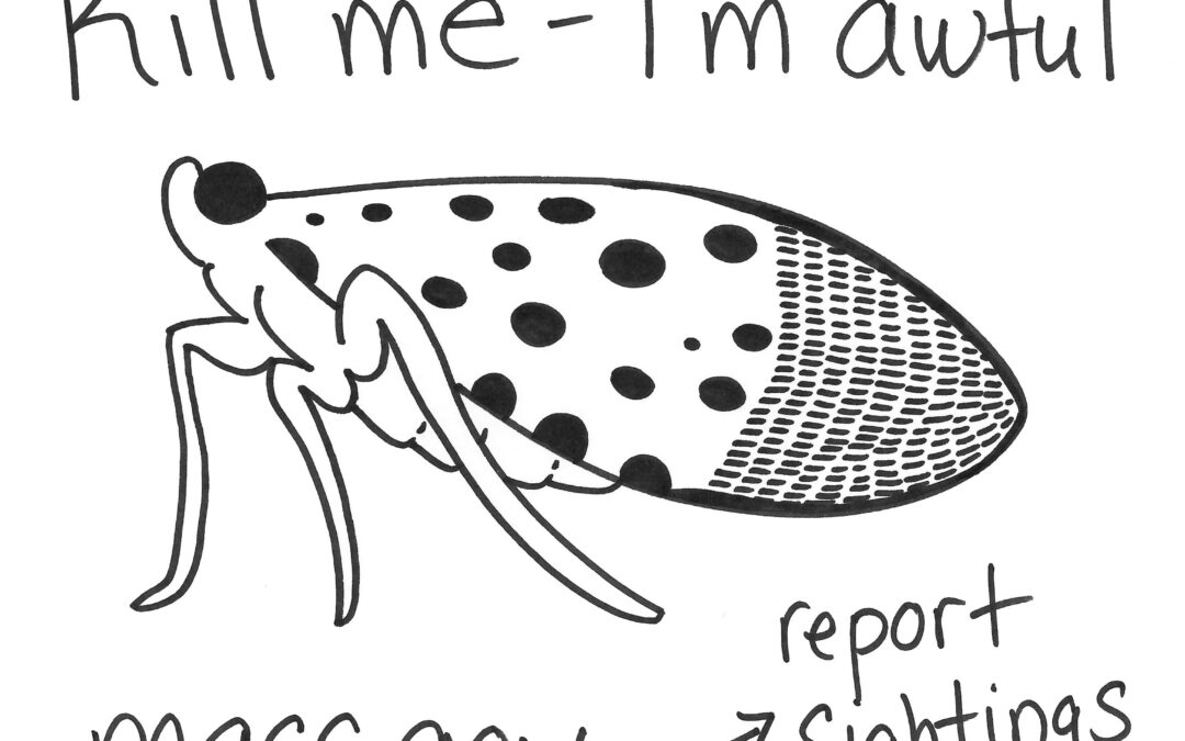 Spotted Lanternfly: See It, Snap It, Squish It, Report It