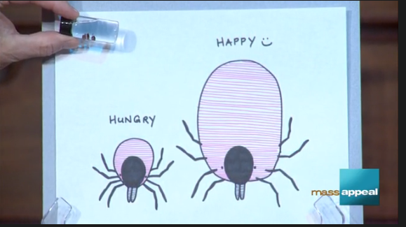 Illustration of a hungry tick and full tick,
