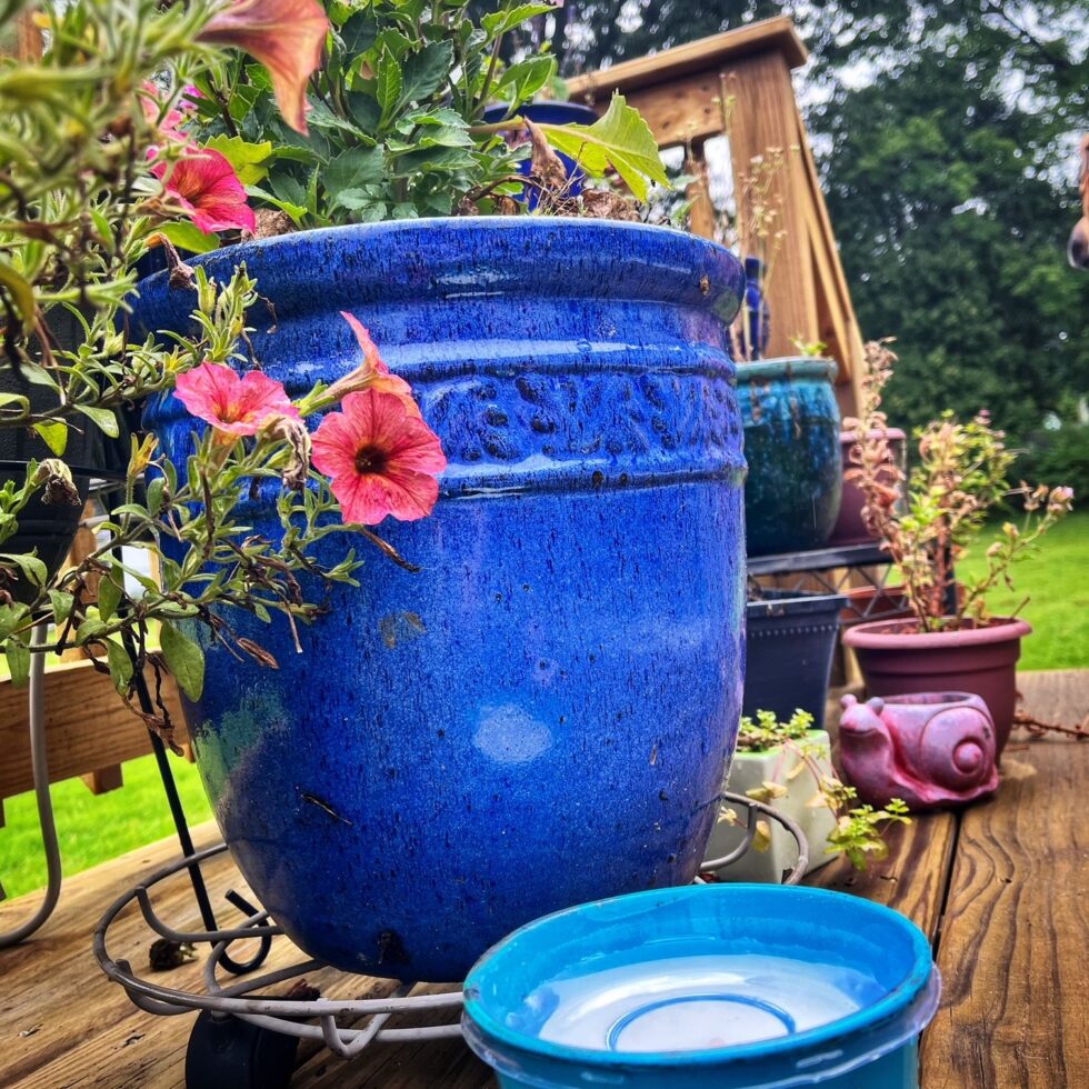 Protect Yourself from MosquitoBorne Illnesses Braman Pest