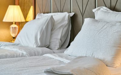 Hospitality Headaches: Addressing Common Pest Infestations in Hotels and Motels