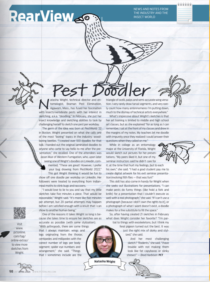 Pest Doodler article about Natasha Wright's 'Pest-A-Day' doodle challenge