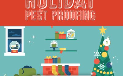 12 Days of Holiday Pest-Proofing