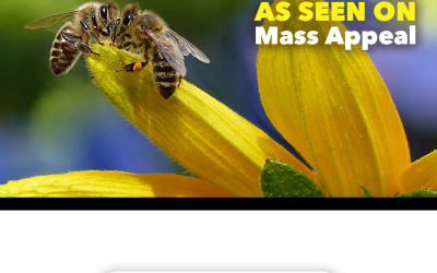 Not Everything that Buzzes Should Be Banished