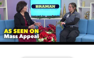 Getting a Real Tree for Christmas? Here’s What Might Come with It