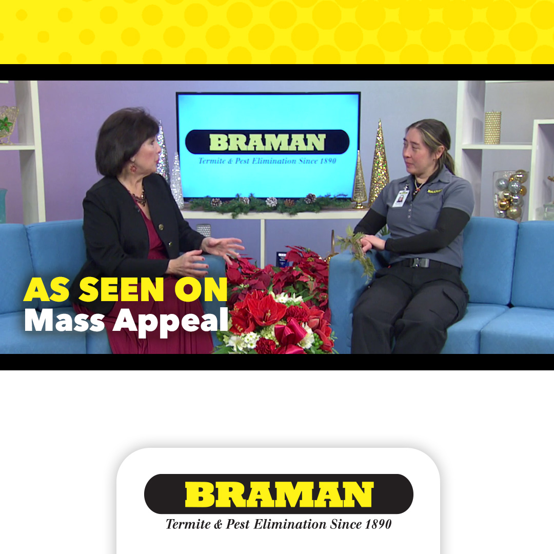 3390_BTP_MassAppealDesignSocial